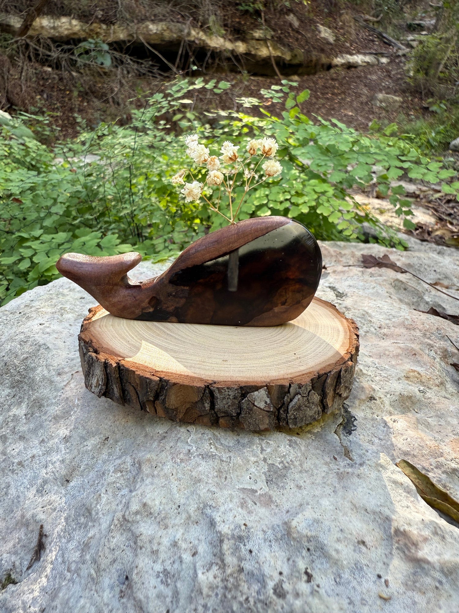 Second Chance Collection